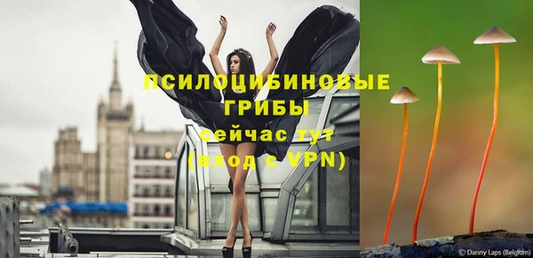 спайс Бородино