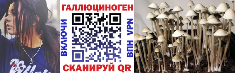 Галлюциногенные грибы мицелий  сколько стоит  Миллерово 